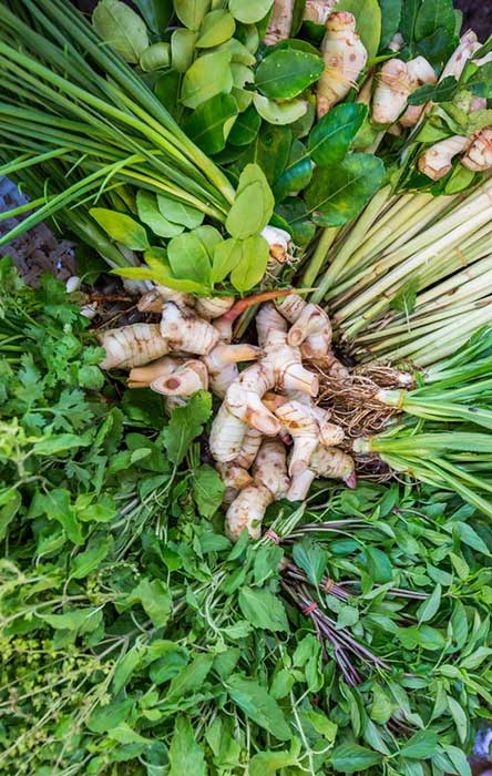 Thai cooking classes Chiang Mai - Four Seasons - Lana Thai Villa