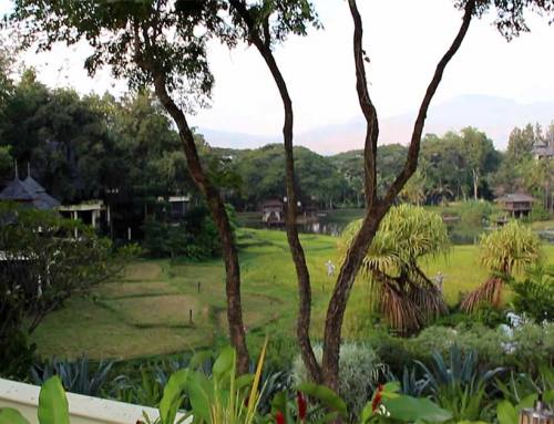 Chiang Mai Boutique Hotels – Much More Than Just Accommodation